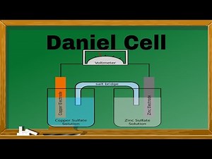 Daniel Cell - brief explaination for Jee/Neet.
