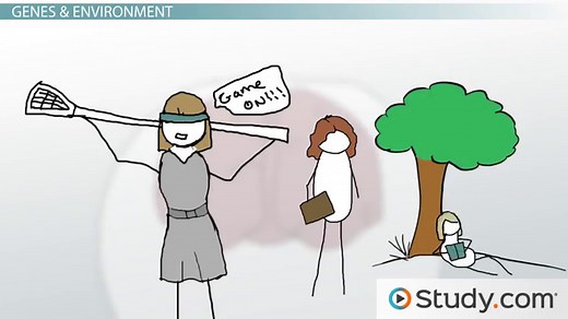 Gene & Environment Interaction | Influence, Examples & Traits