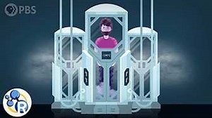 Can You Cryogenically Freeze Your Body and Come Back to Life? | Reactions Science Videos - American Chemical Society