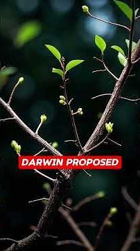 Charles Darwin The Man Who Redefined Life Itself | Short Documentary