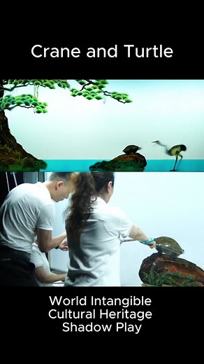 Shadow Puppet on TikTok