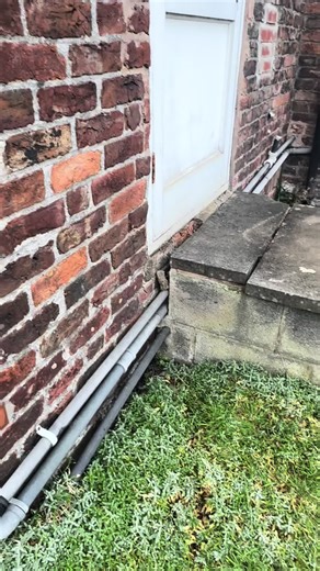 Final Pest Control Treatments for Specific Customer