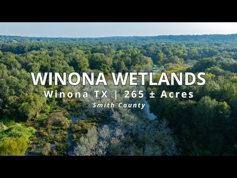 265 ± Acre Hunting Property For Sale Winona TX | East Texas Whitetail Deer & Duck Habitat