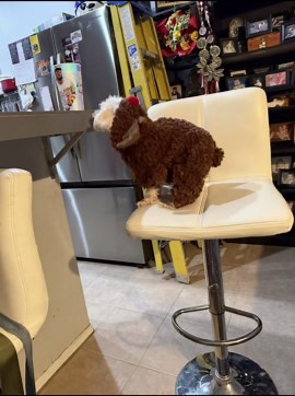 Bud's Hilarious Confusion in Reaching for the Cup