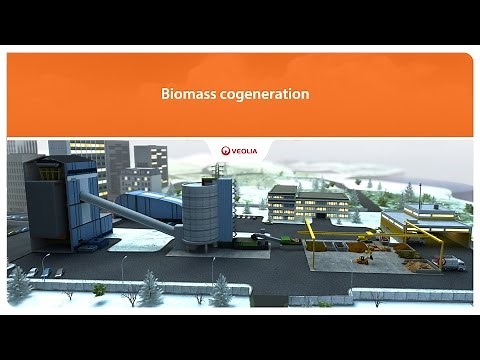 Cogeneration biomass | Veolia