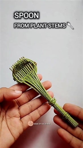 997K views · 6.2K reactions | From nature to creativity!  This spoon made from amla leaf stem is a fun and eco-friendly craft idea — simple yet beautiful  #AmlaLeafStem #HandmadeCraft #MadeByKaushika #EcoFriendlyArt #NatureCraft #DIYIdea #fblifestyle #holidayactivity #holidayfun #kidsactivities #handmadewithlove #creativemind #Christmasdecor #SustainableArt | Made by Kaushika | Facebook