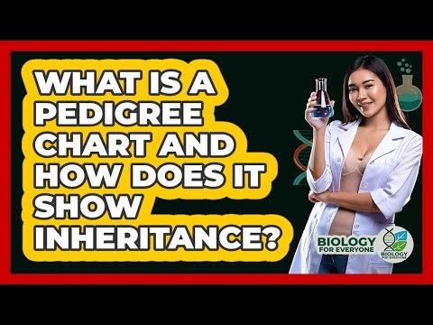 What Is A Pedigree Chart And How Does It Show Inheritance? - Biology For Everyone
