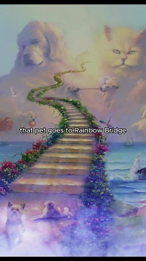 Understanding the Rainbow Bridge: A Guide for Pet Owners