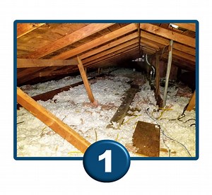 Attic and Crawl Space Services | Atticare USA
