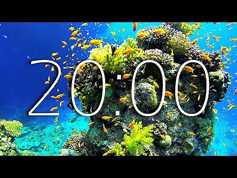 20 Min TIMER - Calm And Relaxing Music