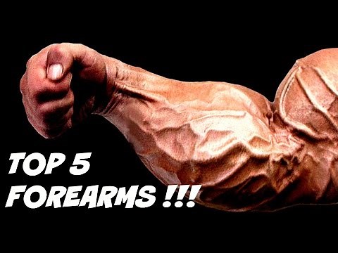 TOP 5 BIGGEST FOREARMS OF ALL TIME AND HOW THEY WERE BUILT !!!