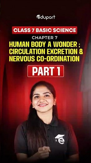 Basic science Chapter 7|Human Body a Wonder ; Circulation Excretion & Nervous Co-ordination | Part 1