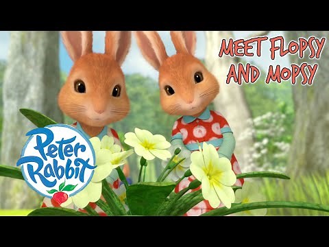 ‪@OfficialPeterRabbit‬ - Meet Flopsy and Mopsy! 🐰 | Meet the Characters | Cartoons for Kids