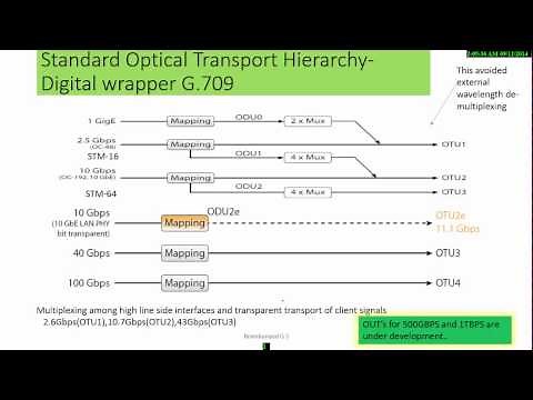 Why OTN ( Optical Transport Network)