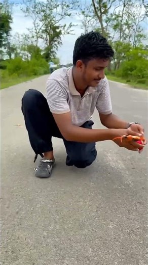 snake unboxing video