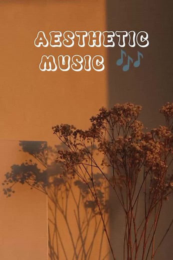 Aesthetic music#aestheticvlog