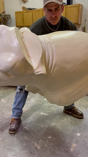 GreenPasturesCattle on TikTok