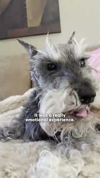 The Wild Bird Who Showed Up With A Message They Needed Most | The Dodo