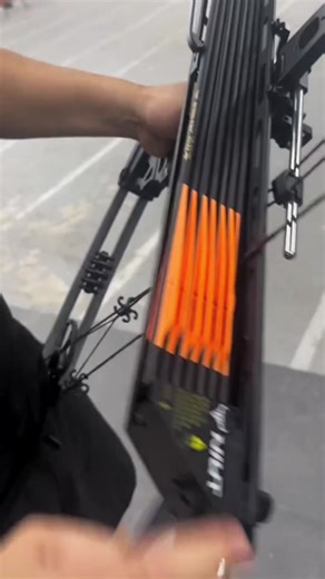 Ball Bearing Compound Bow vs Recurve Bow for Outdoor Activities