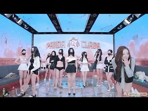 Full video live panda class S1 part 1