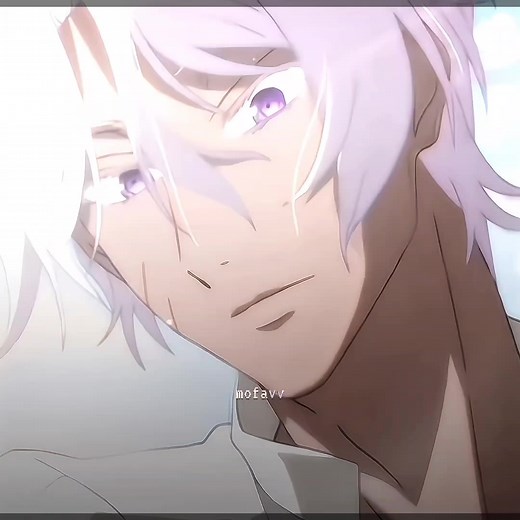 Exploring Noé and Vanitas in The Case Study of Vanitas