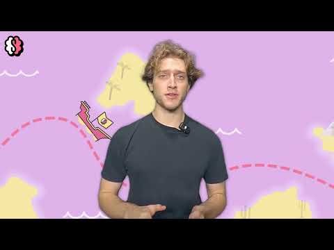 Actieve Botanische Biofilters - Seppe Vandeweghe (UAntwerpen, UGent en KU Leuven)