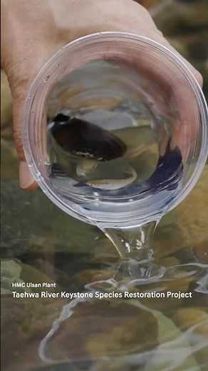 2025 Environmental CSV Campaign ‘Colorful Life’ | Hyundai Continue | #Shorts