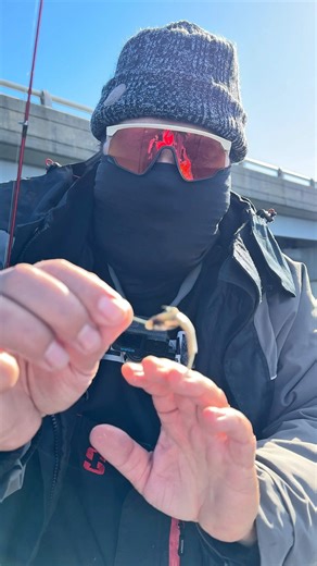 How to hook your minnows live | Stephen Hazlife Fultz