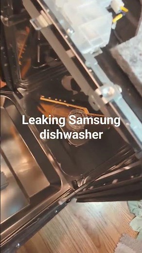 SHORT: Leaking Samsung Dishwasher, Quick Fix.