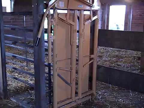 Simple Headgate and Chute Set-Up for Hobby Farm