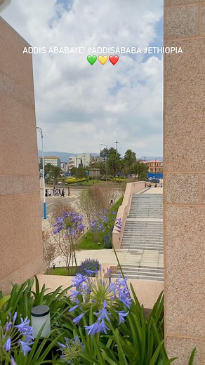 31K views · 339 reactions | Addis Ababaye! #AddisAbaba #Ethiopia ❤️ | TechTalk With Solomon | Facebook