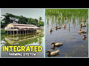 Integrated Farming System (IFS)