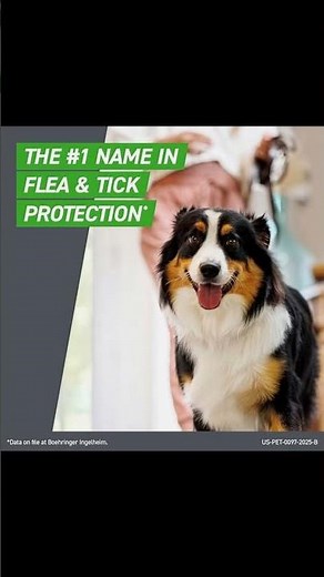 Say Goodbye to Fleas and Ticks: FRONTLINE Plus for Large Dogs