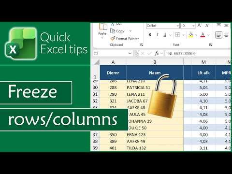How to freeze rows and columns in Excel