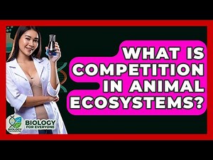 What Is Competition In Animal Ecosystems? - Biology For Everyone