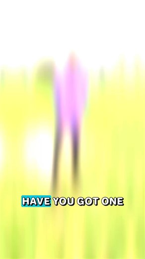 46K views · 20 reactions | CALLING ALL FOOTBALLERS! The #1 Football Boot Cleaner In The WORLD  | The Boot Buddy | Facebook