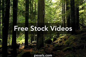 Stream Starting Soon Videos, Download The BEST Free 4k Stock Video Footage & Stream Starting Soon HD Video Clips