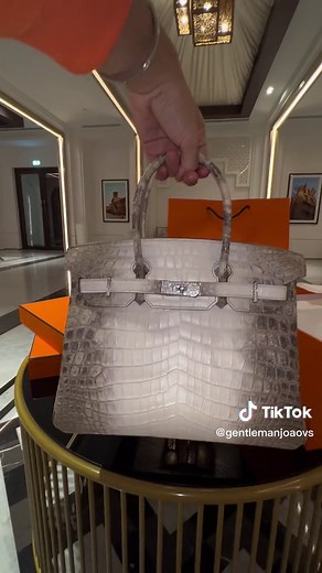 Hermès Birkin Himalayan Diamond Bag: The Ultimate Luxury Statement