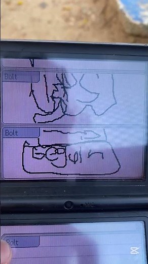 Peak Pictochat usage