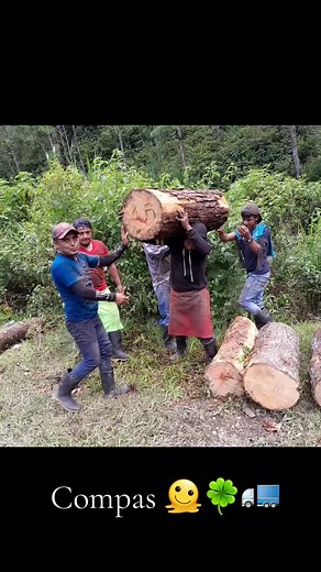Loading Logs onto a Truck: A Labor-Intensive Process
