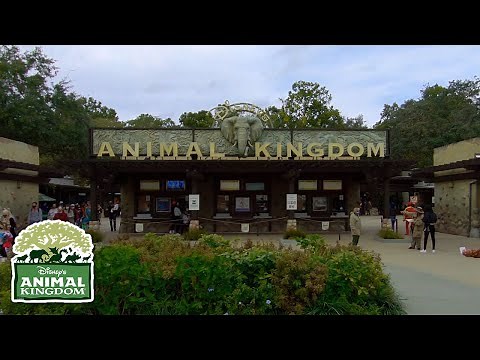Disney's Animal Kingdom 2021, Orlando, Florida | Full Complete Walkthrough Tour