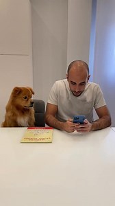 7.2K views · 381 reactions | Can you read me a story #pumbastyle #pet #fyp #dog #pets #tiktokdog | Monako | Facebook