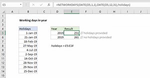 Working days in year