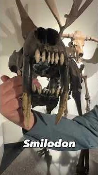 Smilodon: Saber-Toothed Cat of the Ice Age