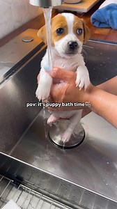 1.7K views · 106K reactions | One last bath before heading to her...