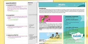 Art: Wildlife Birds UKS2 Planning Overview