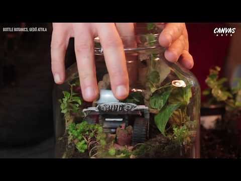 How To Make a Terrarium in a Jar! | Easy DIY's