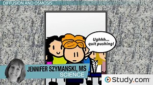 Diffusion in Biology | Definition, Types & Examples