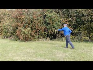 Dutch Arrow Demonstration