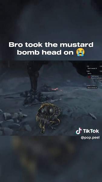 Bravery in Monster Hunter Wilds: A Seikret's Tale